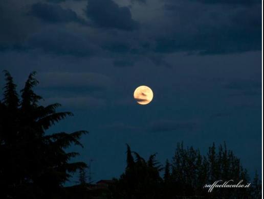 Luna - Foto di Raffaella Calso