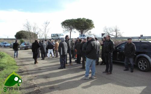 Manifestazione a Collemeto