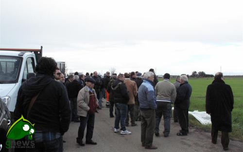 Manifestazione a Collemeto